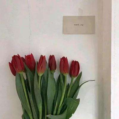 封神之路官方版下载